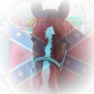 Meet your Posher, Rickey